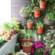 gardening-balcony_ideas